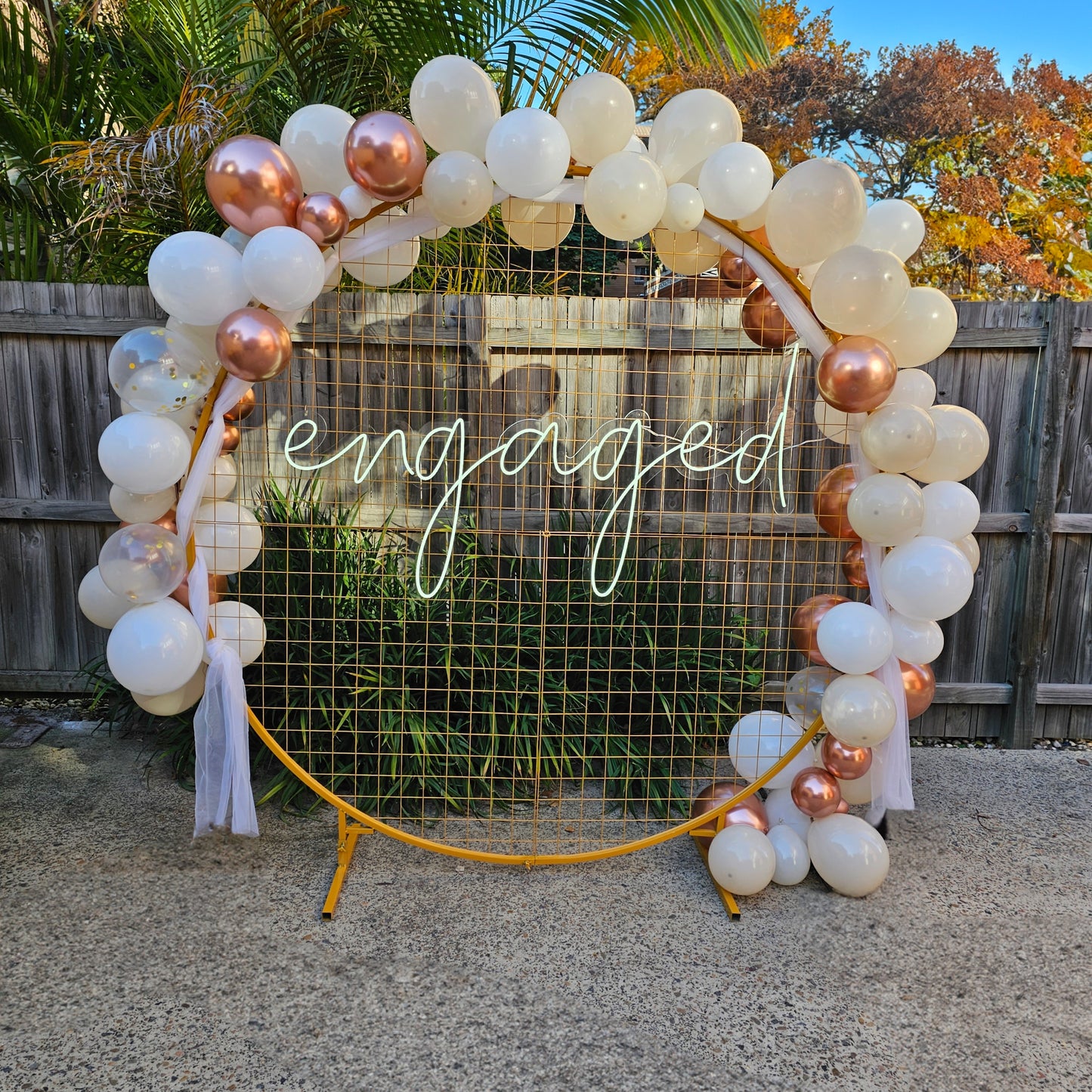 Engagement Backdrop - DIY Setup