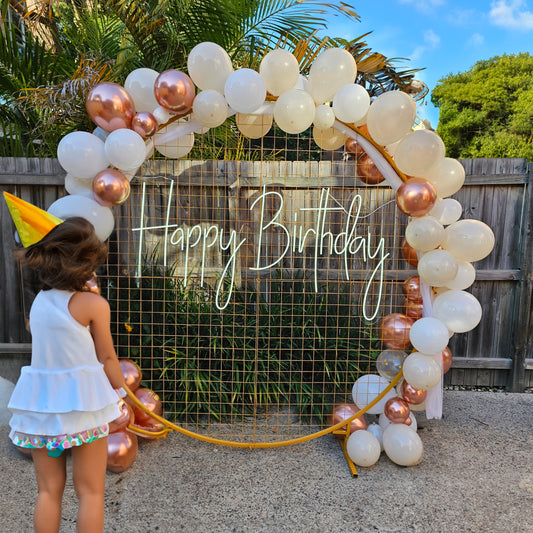Birthday Backdrop - Set up included